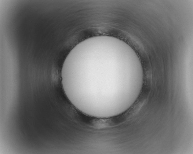 X0000101460129200807211341