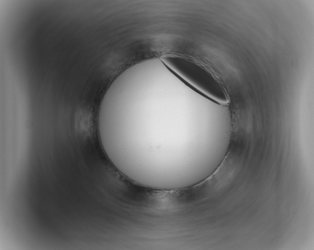 X0000101460136200807211341