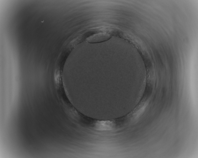 X0000101460137200807211341