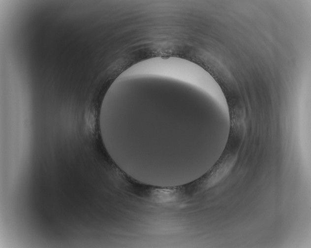 X0000101460139200807211341