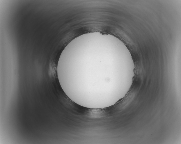 X0000101460141200807211341