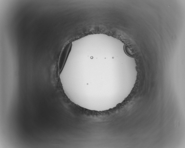 X0000101460144200807211341