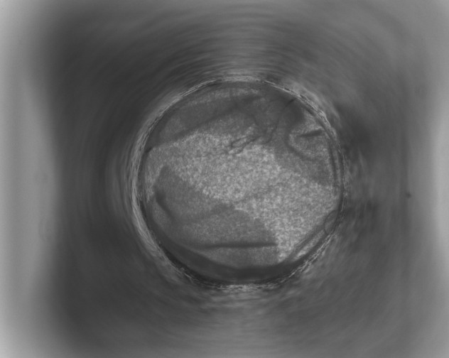 X0000101460145200807211340