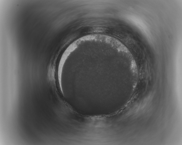 X0000101460146200807211340