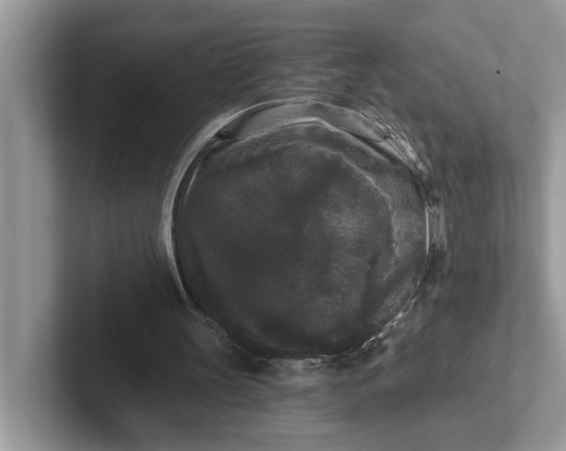 X0000101460147200807211340