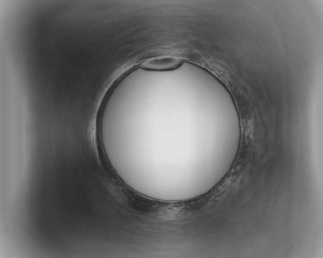 X0000101460148200807211340