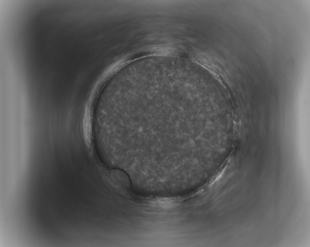 X0000101460149200807211340