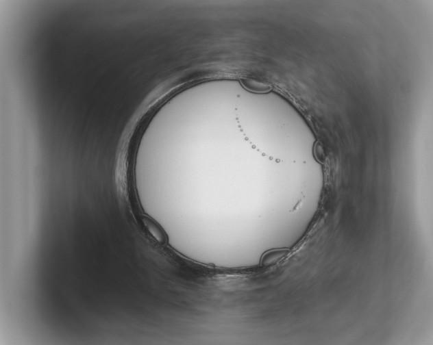 X0000101460150200807211340