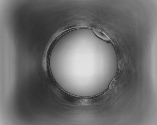 X0000101460152200807211340