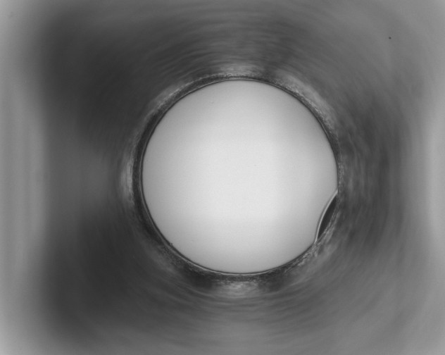 X0000101460155200807211340