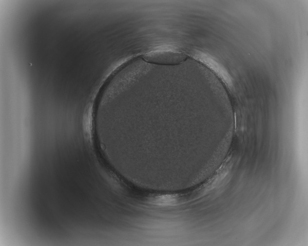 X0000101460156200807211340