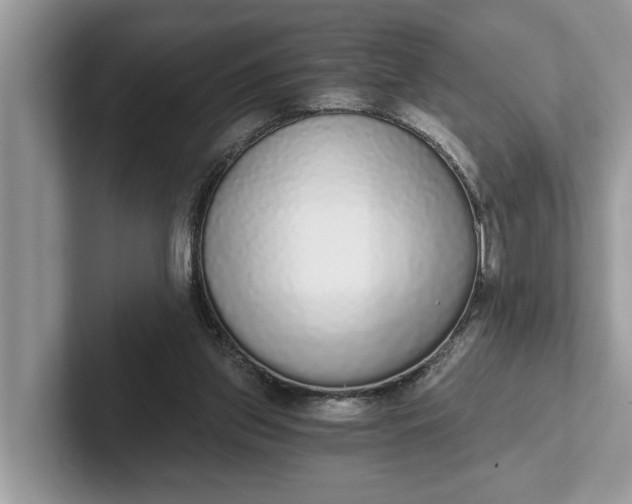 X0000101460157200807211340