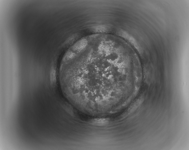 X0000101460161200807211340