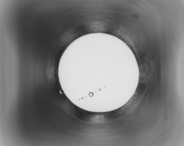 X0000101460162200807211340