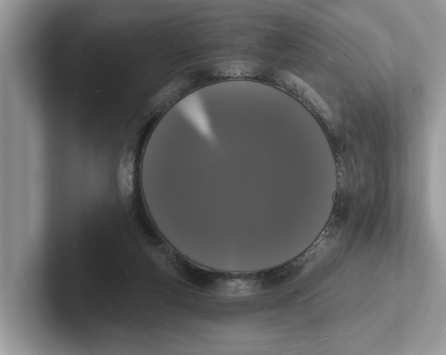 X0000101460163200807211340