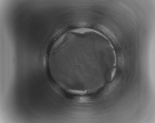 X0000101460165200807211340