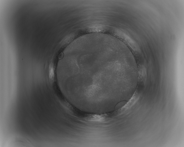 X0000101460166200807211340