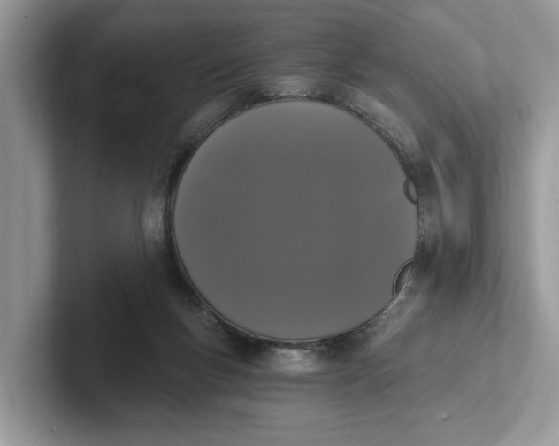 X0000101460167200807211340