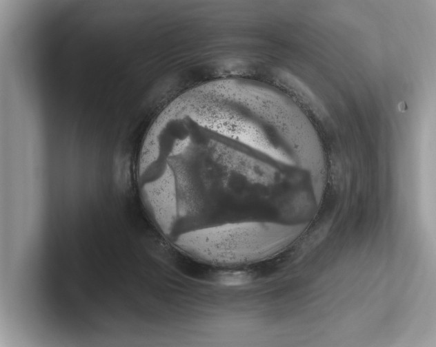 X0000101460169200807211341