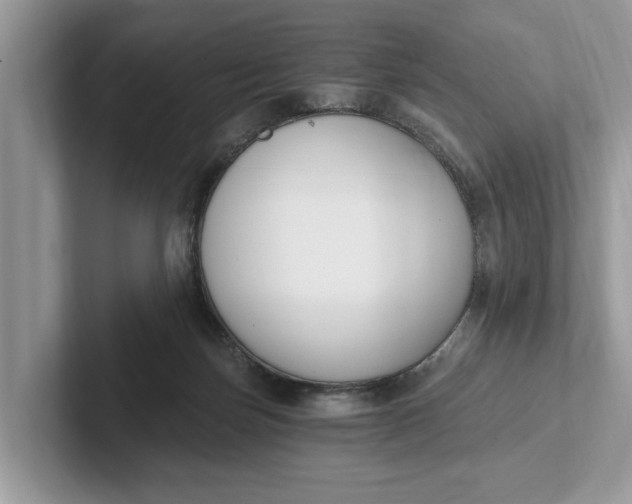 X0000101460171200807211341