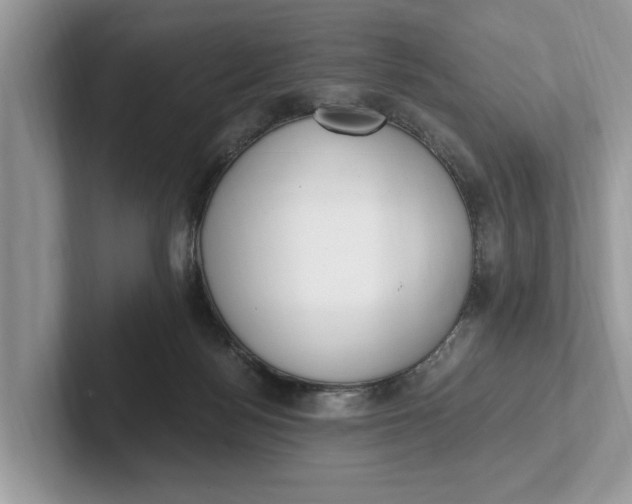 X0000101460172200807211341