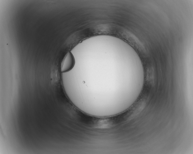 X0000101460173200807211341