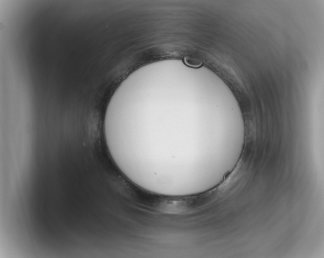 X0000101460174200807211341