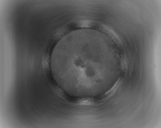 X0000101460175200807211341