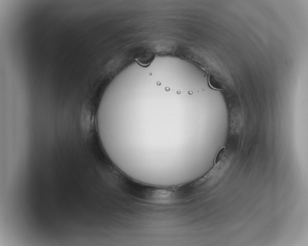 X0000101460176200807211341