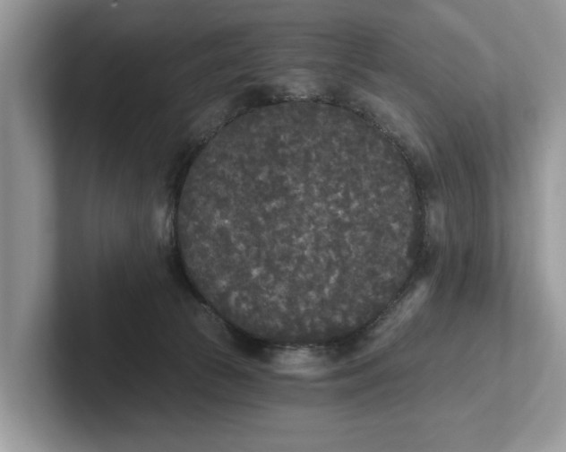 X0000101460177200807211341