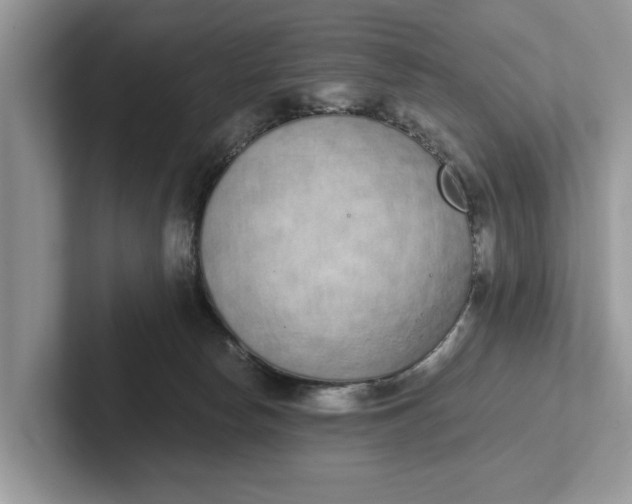 X0000101460178200807211341