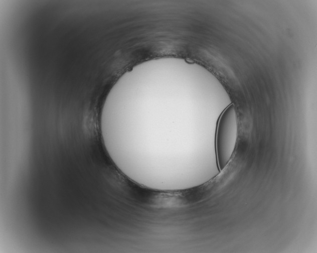 X0000101460179200807211341