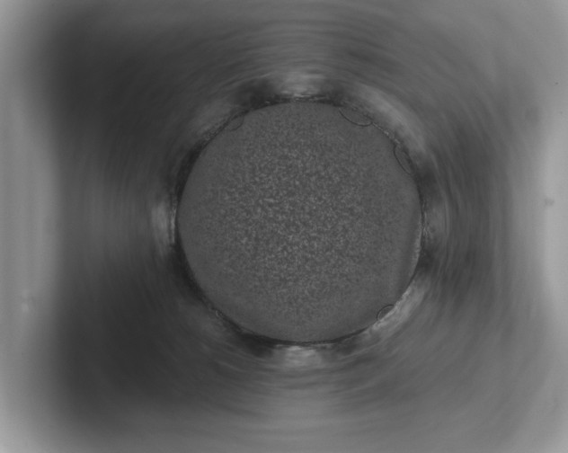 X0000101460180200807211341