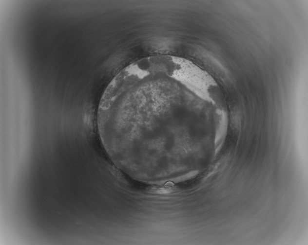 X0000101460181200807211341