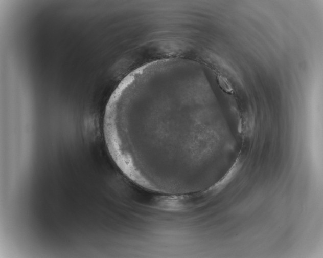 X0000101460182200807211341