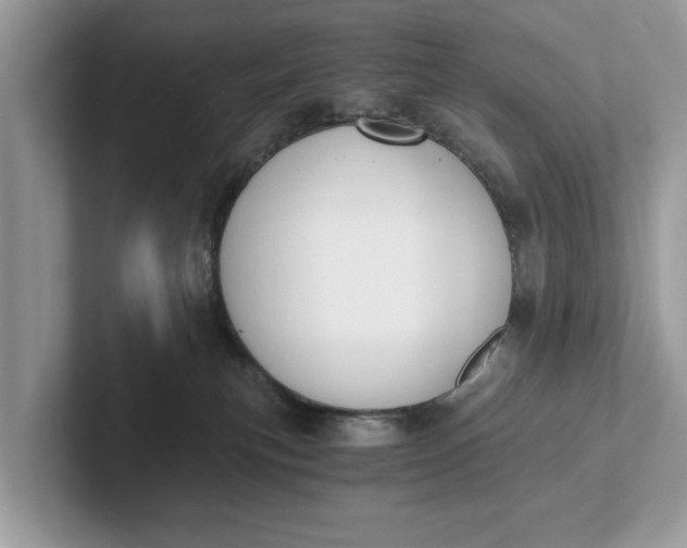 X0000101460183200807211341