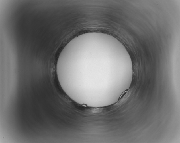 X0000101460184200807211341