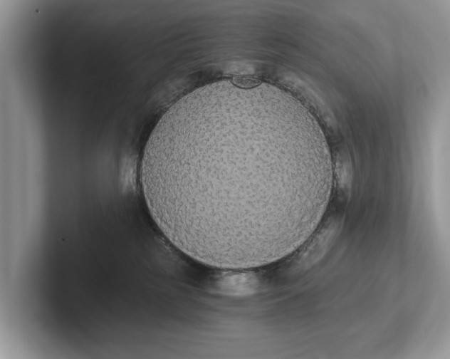 X0000101460185200807211341