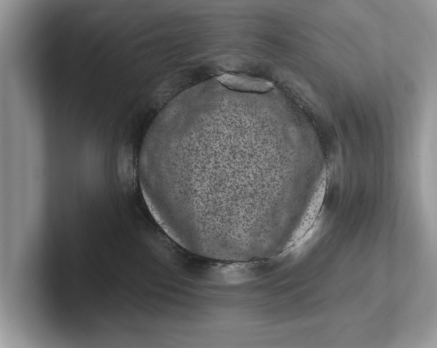 X0000101460186200807211341