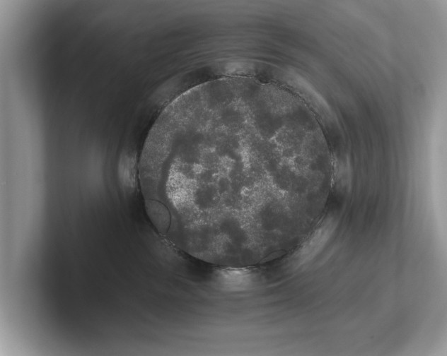 X0000101460189200807211341