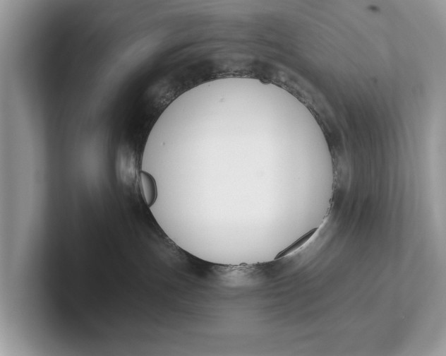 X0000101460191200807211341