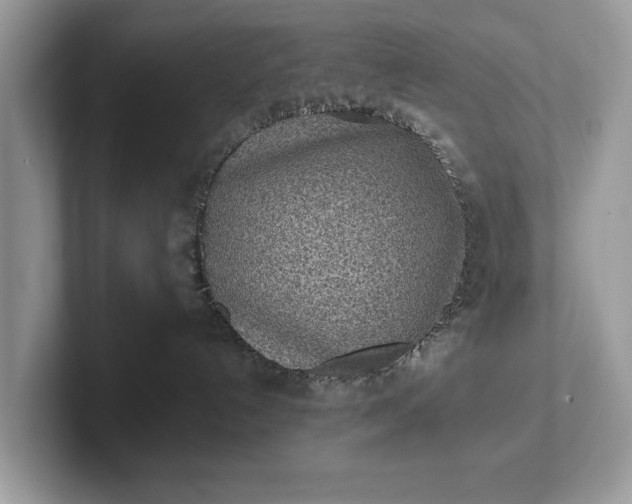 X0000101460192200807211341