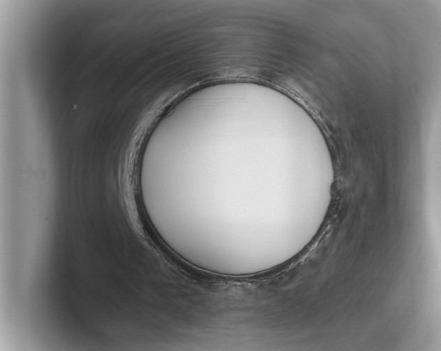 X0000101460193200807211340