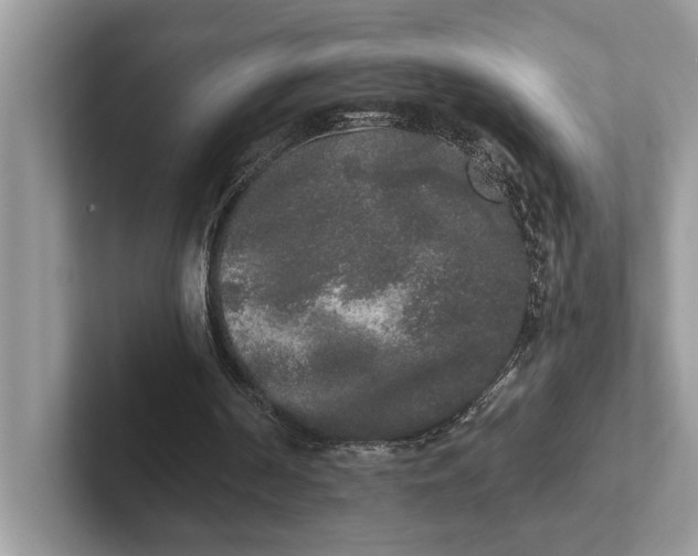 X0000101460194200807211340