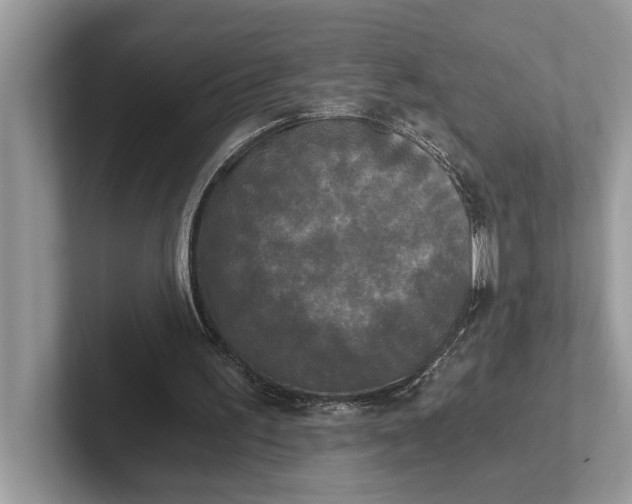 X0000101460195200807211340