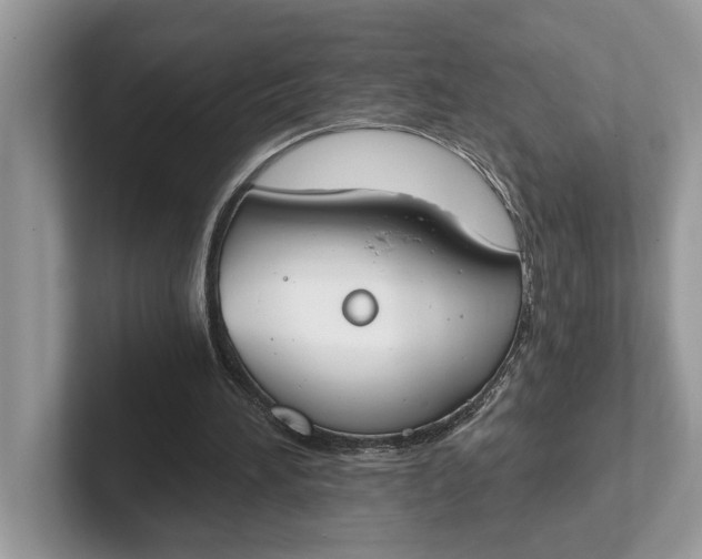 X0000101460196200807211340