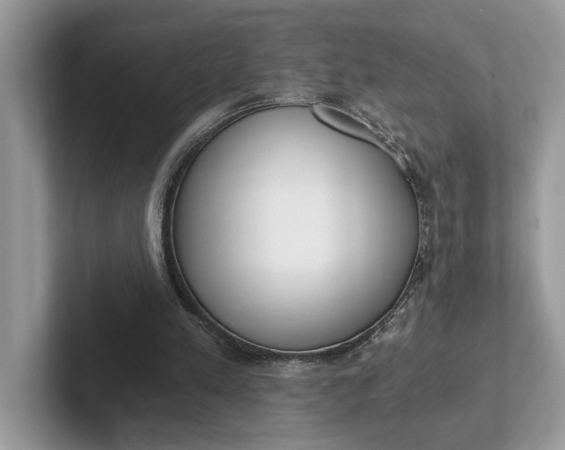 X0000101460197200807211340