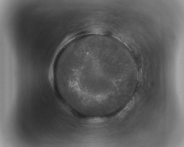 X0000101460198200807211340