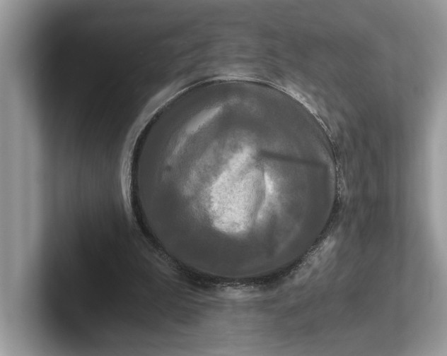 X0000101460199200807211340