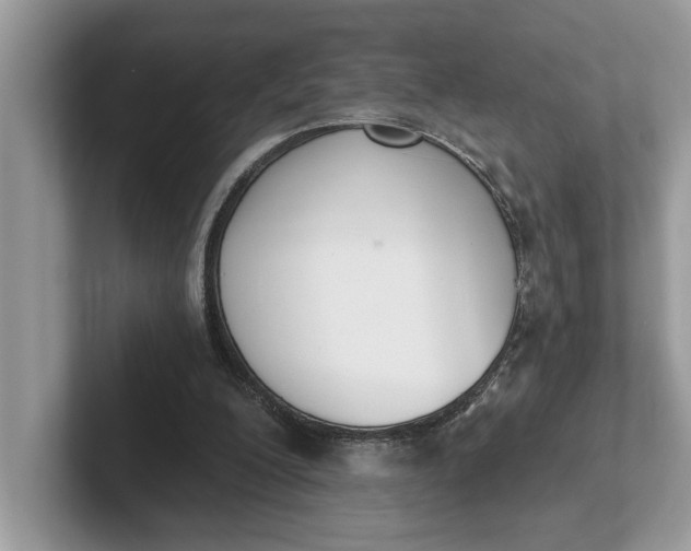 X0000101460200200807211340